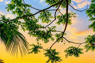 do scenic nature photography