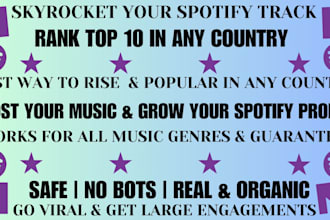 chart your spotify music to top 10 spotify chart and organic spotify growth
