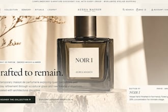 design a premium responsive website and prototype