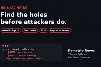 do a web app and api penetration test with a detailed security report