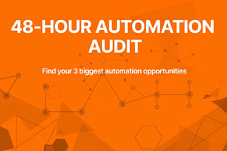 audit your business and find 3 automation opportunities in 48 hours