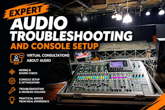 provide expert 1 on 1 audio consulting and troubleshooting