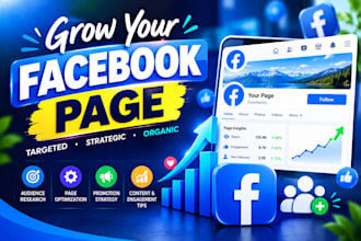grow your facebook page with targeted audience promotion