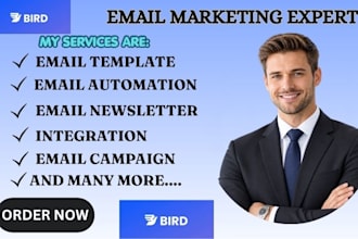 setup bird email marketing bird marketing automation bird email automation