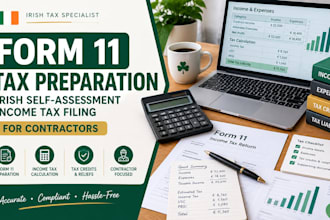form 11 tax preparation irish self assessment income tax filing for contractors