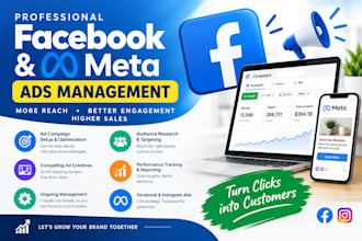 setup and manage facebook ads and meta ads