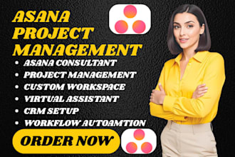 asana project management boards asana consultant asana workspace crm setup