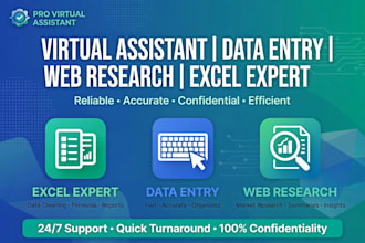 be your virtual assistant for data entry web research and excel work