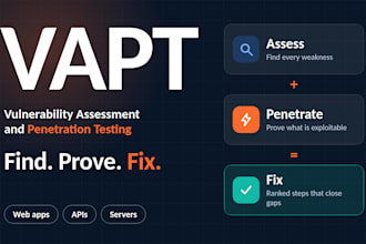 do vapt vulnerability testing for web app and API