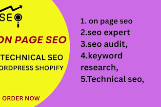 do onsite onpage SEO technical service ecommerce service
