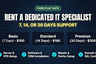 rent dedicated IT specialist for software and server setups