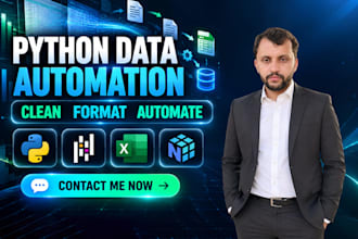 do python data cleaning, data formatting, and automation scripts