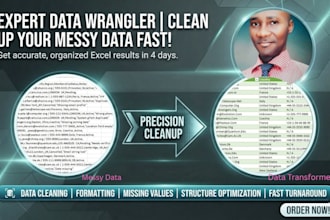 clean format and wrangle your messy excel data