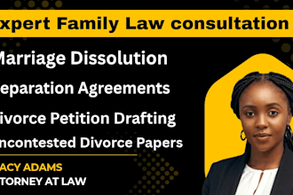 be your lawyer for child custody or divorce paperwork