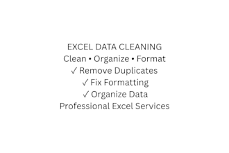 clean, format and organize excel data professionally