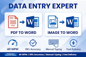 do pdf to word, image to word, data entry, typing perfectly