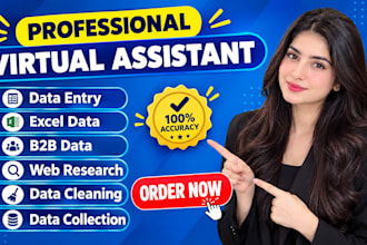 do data entry and web resarch