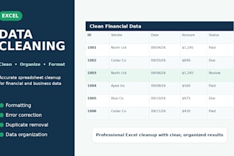 clean organize and format your excel financial data