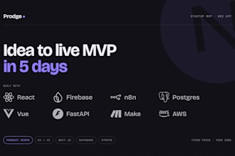 build a web app or mvp for your startup