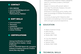 design a professional CV or resume