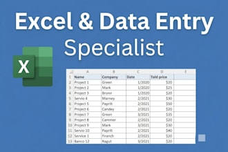 organizar sus datos en excel, data entry y crear plantillas