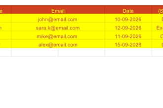 do professional data entry excel and google sheets work