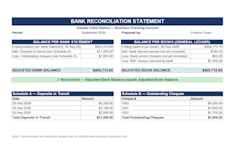 do bank reconciliation, bookkeeping and accounts payable reporting