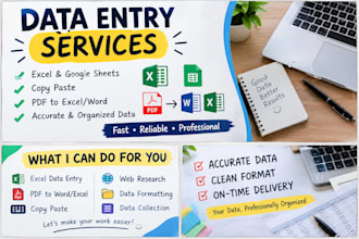 do accurate data entry copy paste webresearch and excel work