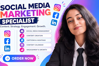 manage your instagram, facebook and linkedin social media