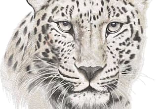 create photorealistic embroidery digitizing from your artwork