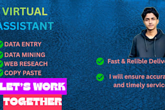 be your virtual assistant who provides accurate and timely data entry services