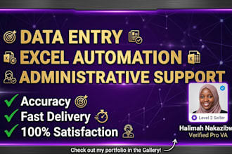 do virtual assistant data entry and excel bookkeeping tasks