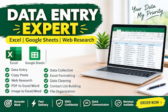 do data entry, web research, excel and google sheets