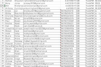 generate targeted forex, b2b, investor leads and verified email lists