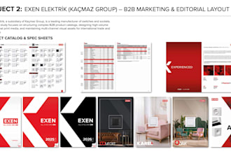 design a professional b2b product catalog and corporate brochure