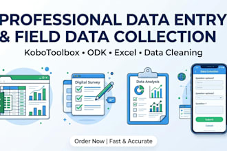 do accurate data entry, data collection and verification