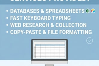 do professional data entry copy paste web research and excel typing work