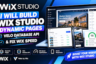 build wix studio dynamic pages, velo database API, and fix wix speed