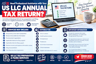 provide US llc tax filing assistance and document preparation