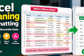 clean, format, remove duplicates and organize excel data