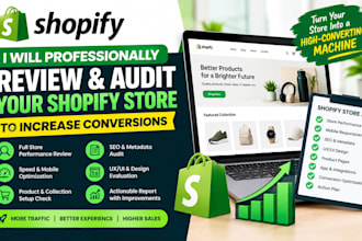 professionally review and audit your shopify store to increase conversions