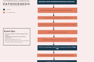 create medical illustrations for mbbs students