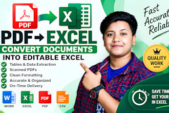 convert PDF to excel, PDF to word, data entry