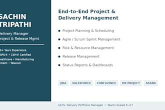 be your agile project manager for software and IT delivery