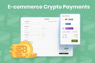 build and integrate a custom payment gateway and payment processor