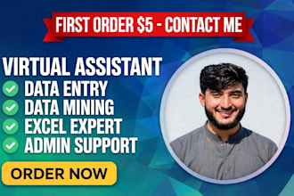do data entry, excel data, typing, copy paste, ms word work