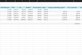 build dcf valuation models and equity research reports