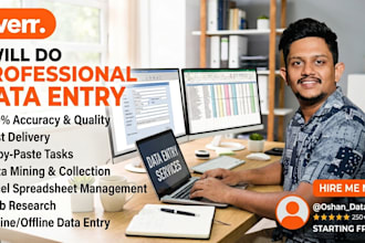 any data entry work accurately