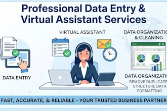 do professional data entry, excel and copy paste work
