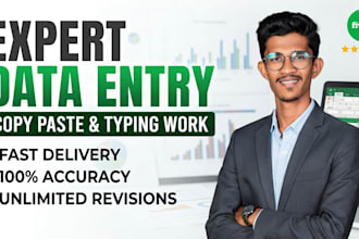 do accurate data entry, data cleaning, and excel reporting